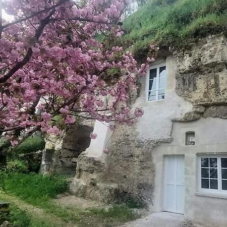 Troglo Entre Caves Et Chateaux 蒙卢索卢瓦尔 外观 照片