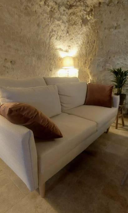 Troglo Entre Caves Et Chateaux 蒙卢索卢瓦尔 外观 照片