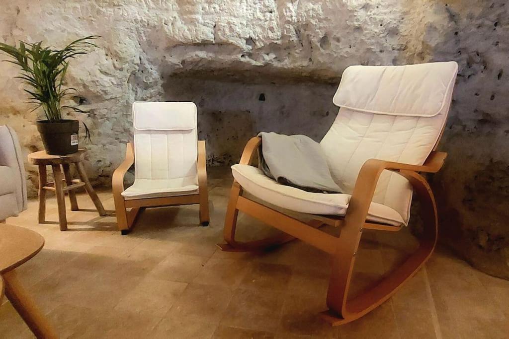 Troglo Entre Caves Et Chateaux 蒙卢索卢瓦尔 外观 照片