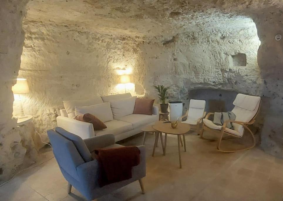 Troglo Entre Caves Et Chateaux 蒙卢索卢瓦尔 外观 照片