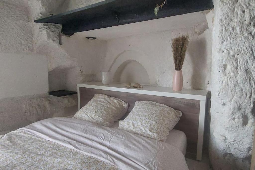 Troglo Entre Caves Et Chateaux 蒙卢索卢瓦尔 外观 照片