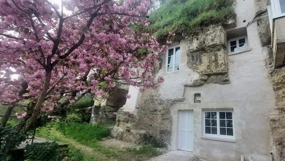 Troglo Entre Caves Et Chateaux 蒙卢索卢瓦尔 外观 照片
